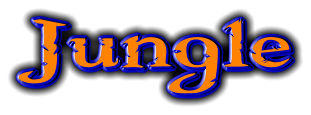 Jungle Jungle